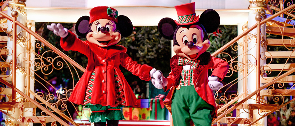 Mickey Minnie Christmas Costume